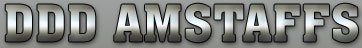 DDD Logo